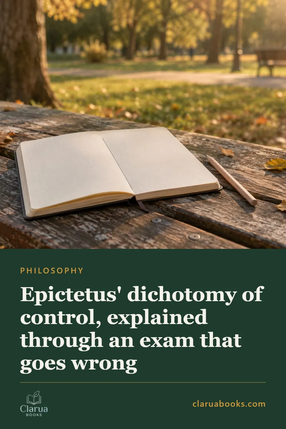Epictetus' dichotomy of control: what is up to you and what is not